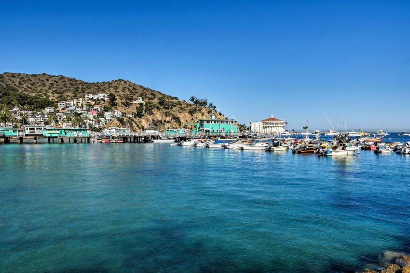 Gorgeous Oceanfront Villa With Panoramic Views Avalon Bagian luar foto