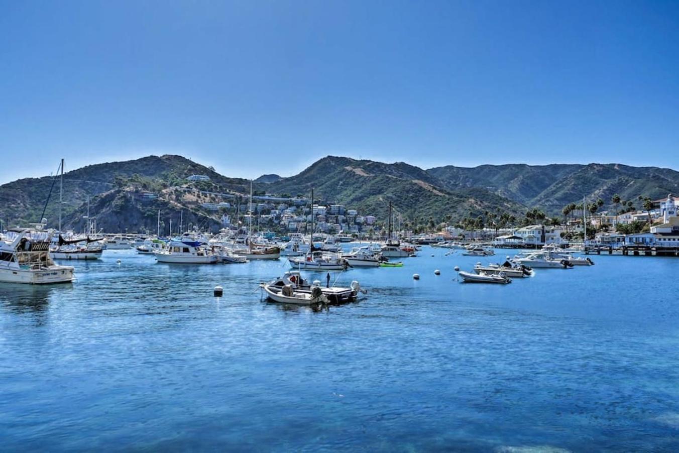 Gorgeous Oceanfront Villa With Panoramic Views Avalon Bagian luar foto